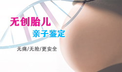 新民市胎儿亲子鉴定要如何做，新民市产前亲子鉴定收费标准