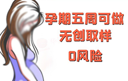 胎儿亲子鉴定中心电话地址（免费预约）