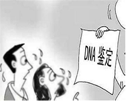 江苏个人亲子鉴定机构正规机构有哪些
