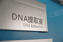 营口DNA鉴定机构咨询预约地址咨询