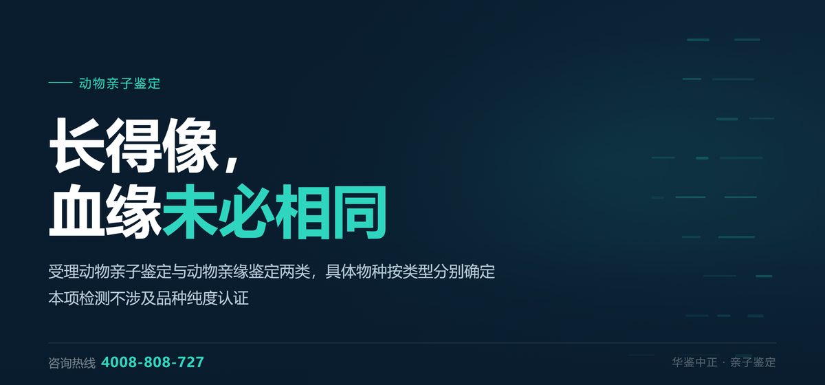 动物亲子鉴定：畜禽与宠物的血缘关系确认
