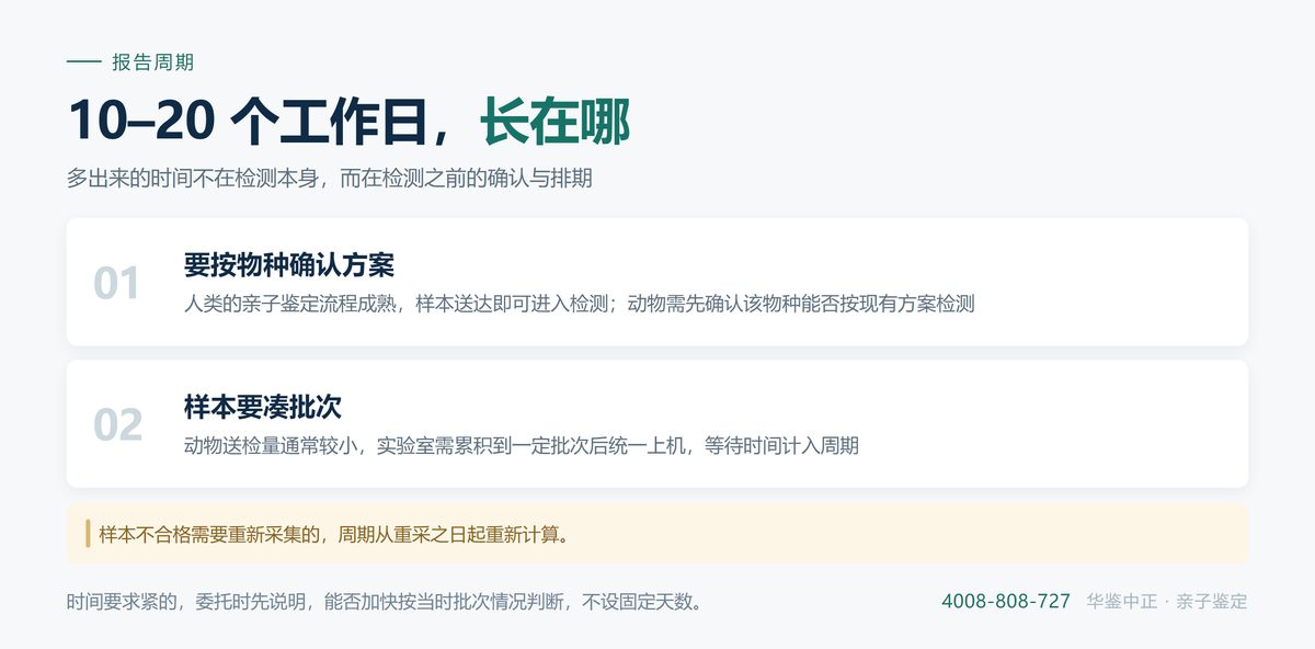 动物鉴定的周期构成：收样、物种排期、检测、报告