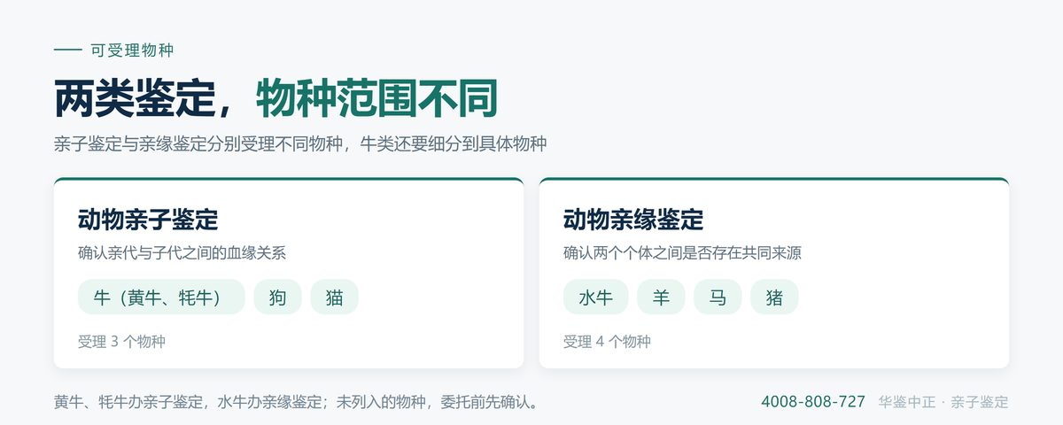 常见受理物种与各自适用的样本类型