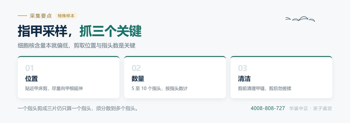 指甲采样器材与甲根、甲缘的剪取位置对比
