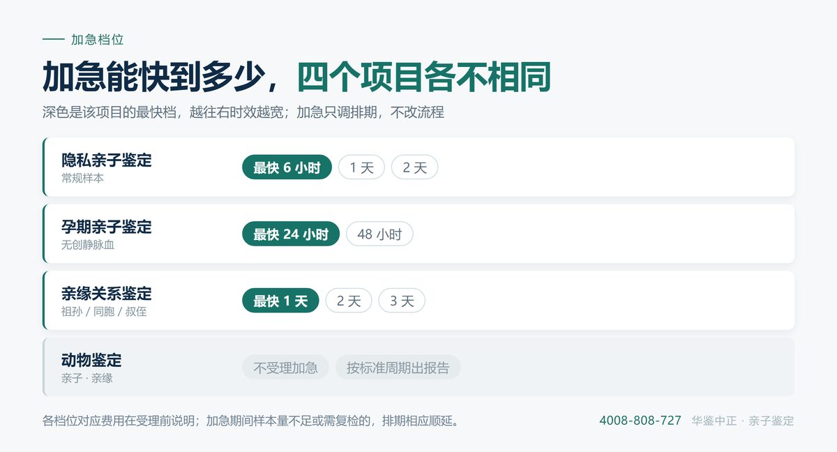 四类项目的加急档位与常规周期对照