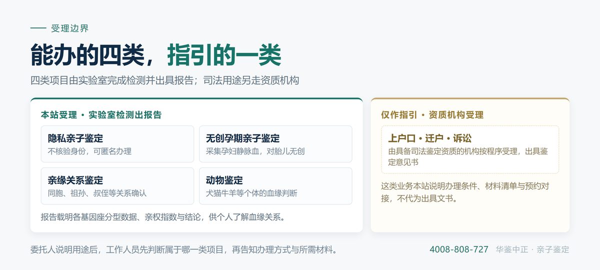 两类文书的边界：检测报告与鉴定意见书的适用范围