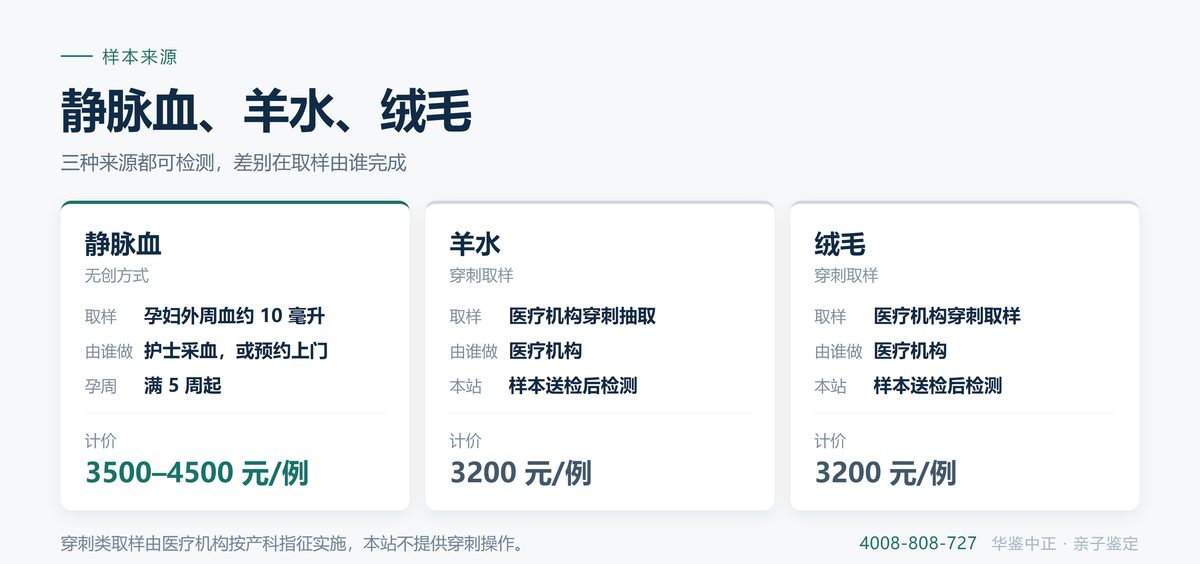 胎儿游离DNA的两个来源与进入母血的路径